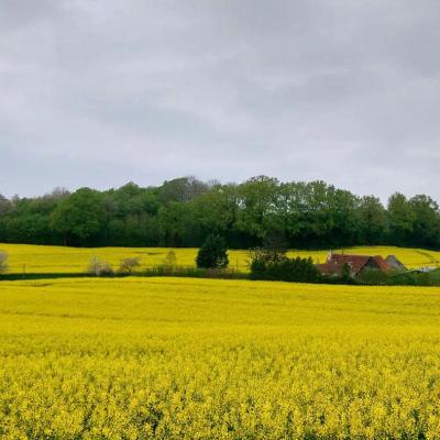 13/04/2025 Colonard