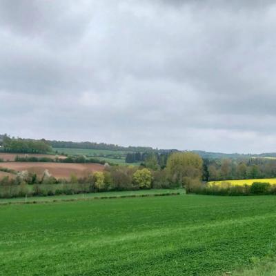 13/04/2025 Colonard