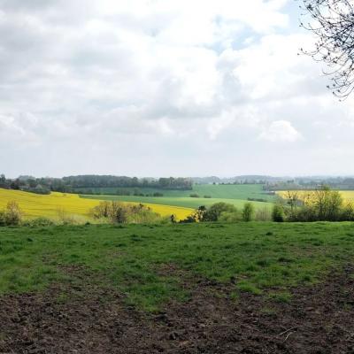 13/04/2025 Colonard