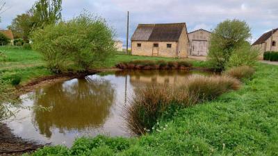 20/04/2025 Rueil la Gadelière