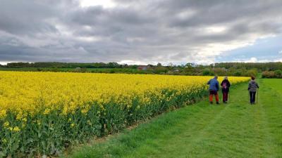 20/04/2025 Rueil la Gadelière