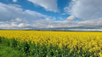 20/04/2025 Rueil la Gadelière