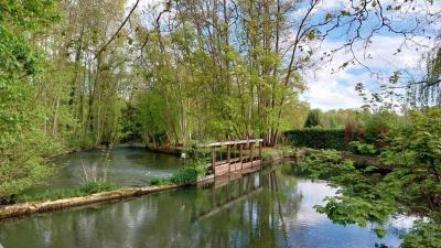 20/04/2025 Rueil la Gadelière