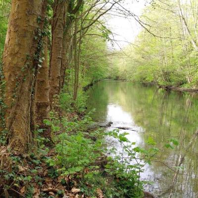 20/04/2025 Rueil la Gadelière