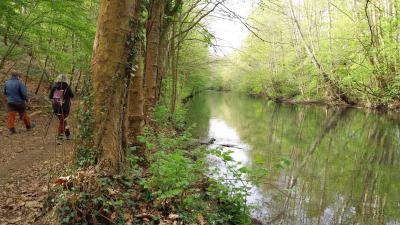 20/04/2025 Rueil la Gadelière