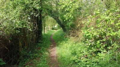 20/04/2025 Rueil la Gadelière