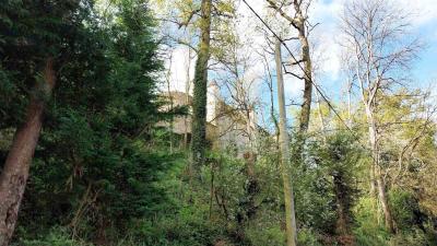 20/04/2025 Rueil la Gadelière