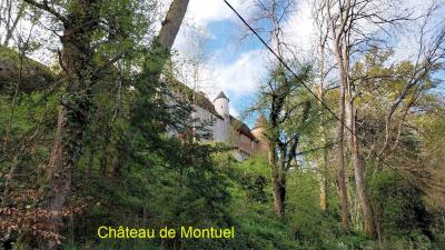 20/04/2025 Rueil la Gadelière