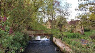 20/04/2025 Rueil la Gadelière