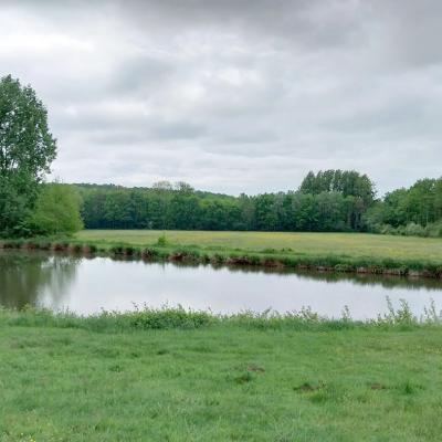 04/05/2025 L'Hôme Chamondot