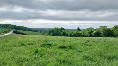 04/05/2025 L'Hôme Chamondot