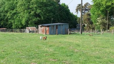 04/05/2025 L'Hôme Chamondot