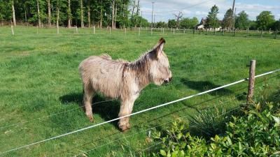 04/05/2025 L'Hôme Chamondot