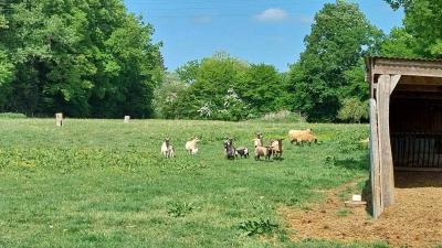 04/05/2025 L'Hôme Chamondot