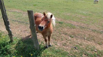 04/05/2025 L'Hôme Chamondot