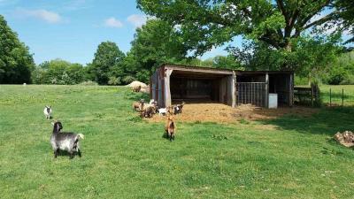 04/05/2025 L'Hôme Chamondot