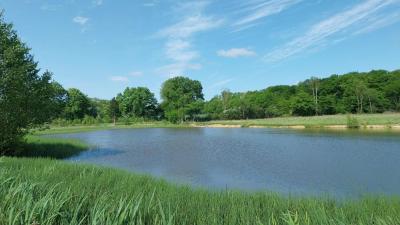 04/05/2025 L'Hôme Chamondot