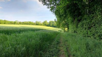 11/05/2025 Maison Maugis