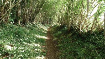 11/05/2025 Maison Maugis