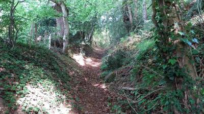 11/05/2025 Maison Maugis