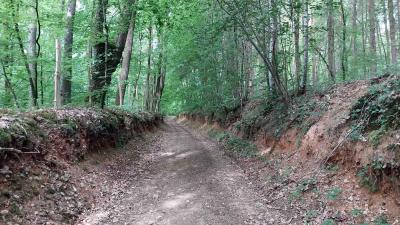 11/05/2025 Maison Maugis