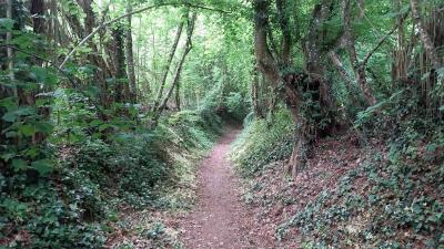 11/05/2025 Maison Maugis