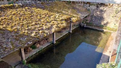 18/05/2025 Nogent le Bernard