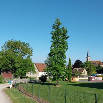 18/05/2025 Nogent le Bernard