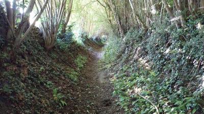 18/05/2025 Nogent le Bernard