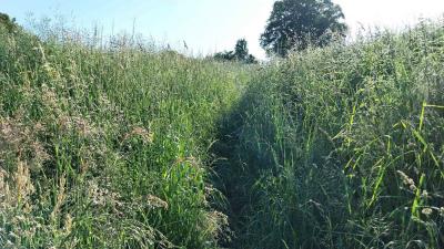 18/05/2025 Nogent le Bernard