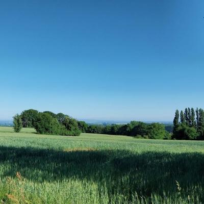 18/05/2025 Nogent le Bernard