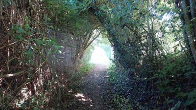 18/05/2025 Nogent le Bernard