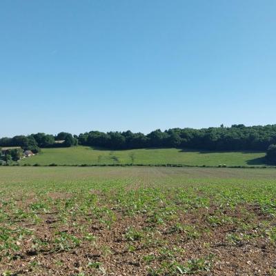 18/05/2025 Nogent le Bernard