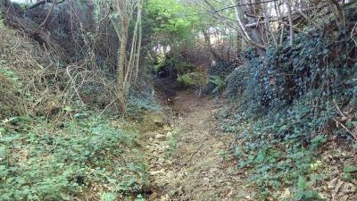 18/05/2025 Nogent le Bernard