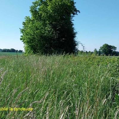 18/05/2025 Nogent le Bernard