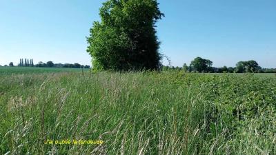 18/05/2025 Nogent le Bernard