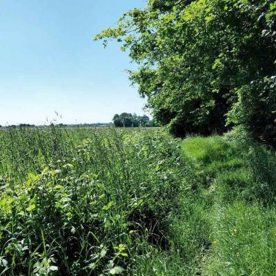18/05/2025 Nogent le Bernard