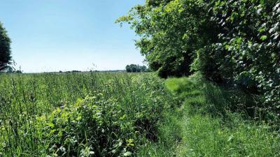 18/05/2025 Nogent le Bernard