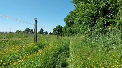 18/05/2025 Nogent le Bernard