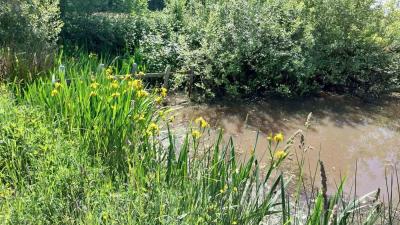 18/05/2025 Nogent le Bernard