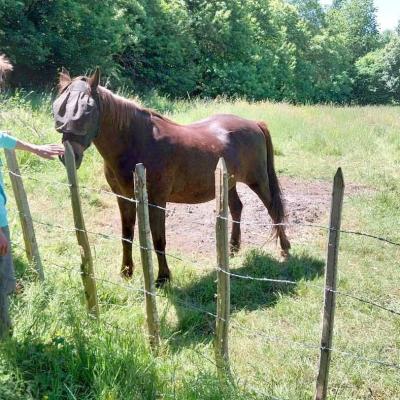 18/05/2025 Nogent le Bernard