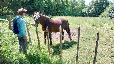 18/05/2025 Nogent le Bernard