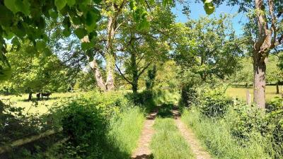 18/05/2025 Nogent le Bernard