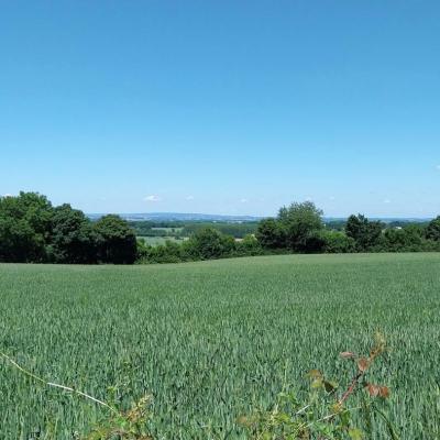 18/05/2025 Nogent le Bernard