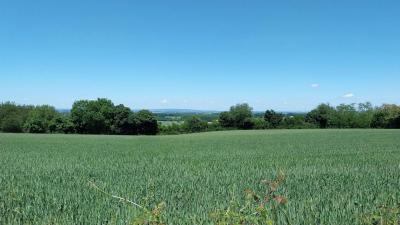 18/05/2025 Nogent le Bernard