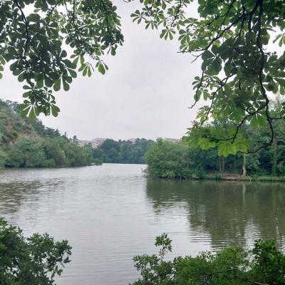 21/05/2025 Angers