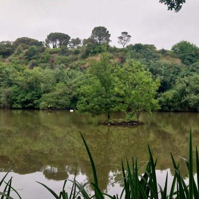 21/05/2025 Angers