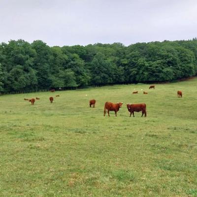 01/06/2025 Bretoncelles