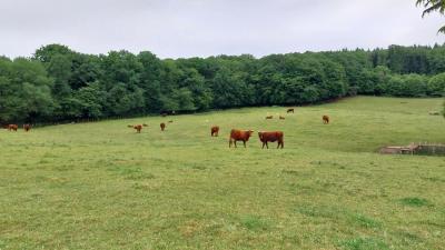 01/06/2025 Bretoncelles