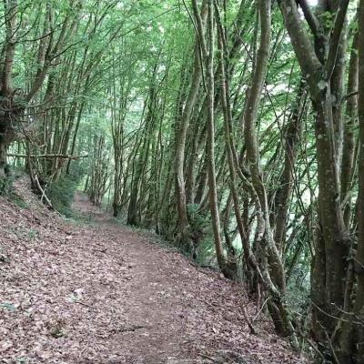 01/06/2025 Bretoncelles